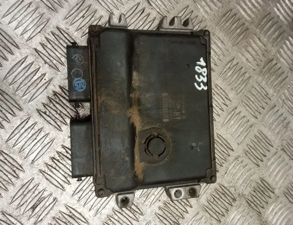 SUZUKI Swift 3 generation (2004-2010) Riadiaca jednotka motora 3392063JM 32015378