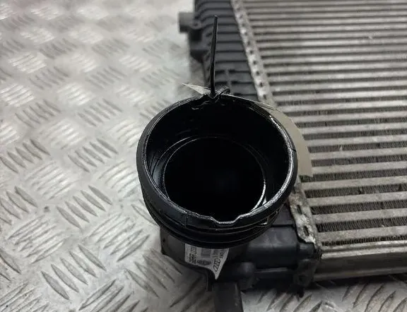 VOLKSWAGEN Golf 8 generation (2019-2023) Intercooler radiátor 1K0145803A 34264243