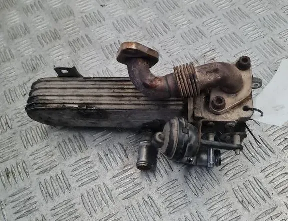 VOLKSWAGEN Passat B7 (2010-2015) Охладитель Eгр 03G131513J 33393590