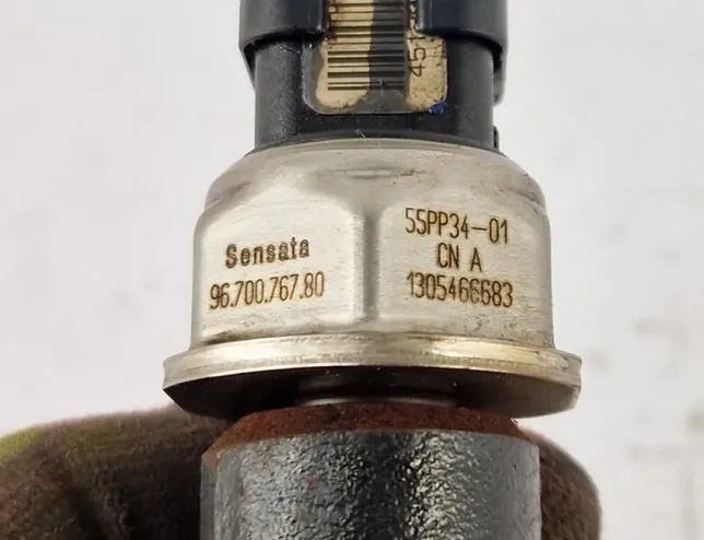 FORD C-Max 2 generation (2010-2019) Palivová lišta 9685297580,9670076780 34202765