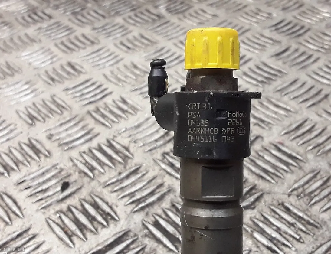 FORD Transit 4 generation (2013-2024) Oil Injector 0445116043 33828657
