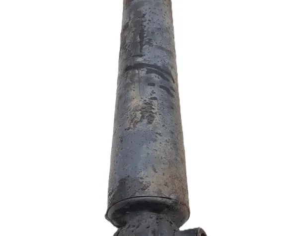 SCANIA L,P,G,R,S series (2016) Амортизатор задний правый 1854537 31036031