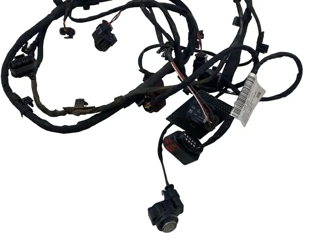 AUDI Q8 4M (2018-2024) Cable Harness 11A971095A,1EA919275C 33606826