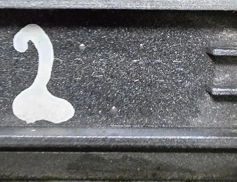 BMW 5 Series E39 (1995-2004) Rear Left Door Molding 7004025 33755821