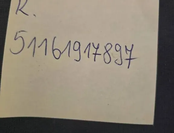 BMW 5 Series E28 (1981-1988) Ľavý slnečný kryt 51161917897 33963307