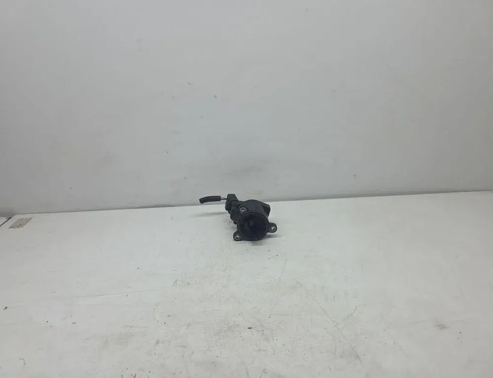 VOLVO V70 3 generation (2007-2020) EGR Valve 803100290,V29010703 33243819