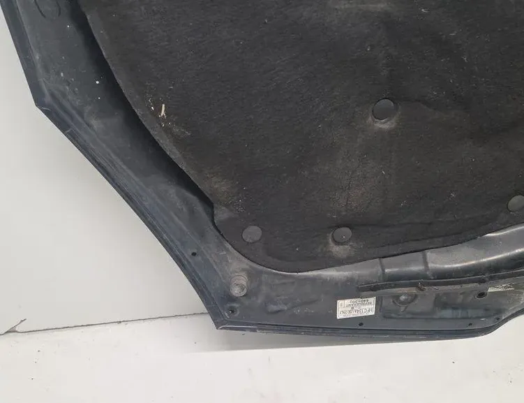 TOYOTA Corolla Verso 1 generation (2001-2009) Bonnet 33243847