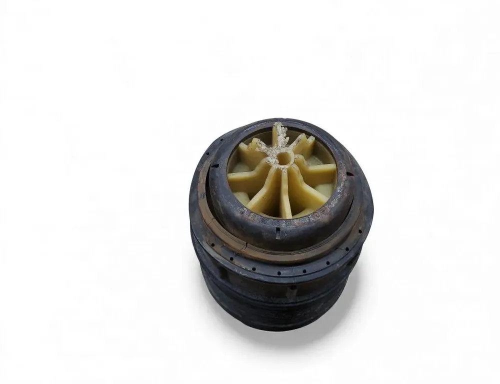 MERCEDES-BENZ CLS-Class C218/X218 (2011-2017) Rear Right Air Suspension Cushion A2123203925 33466621