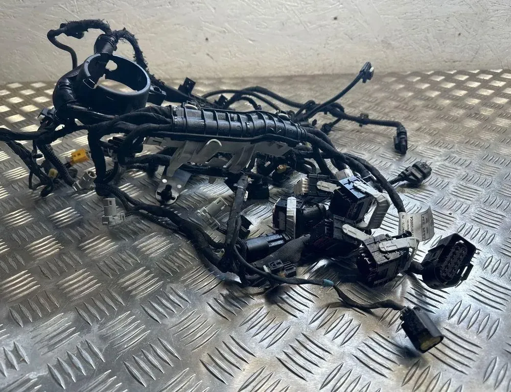 MERCEDES-BENZ GLC Coupe C253 (2016-2019) Жгут проводов двигателя A6541506700,2SB1P 33164560