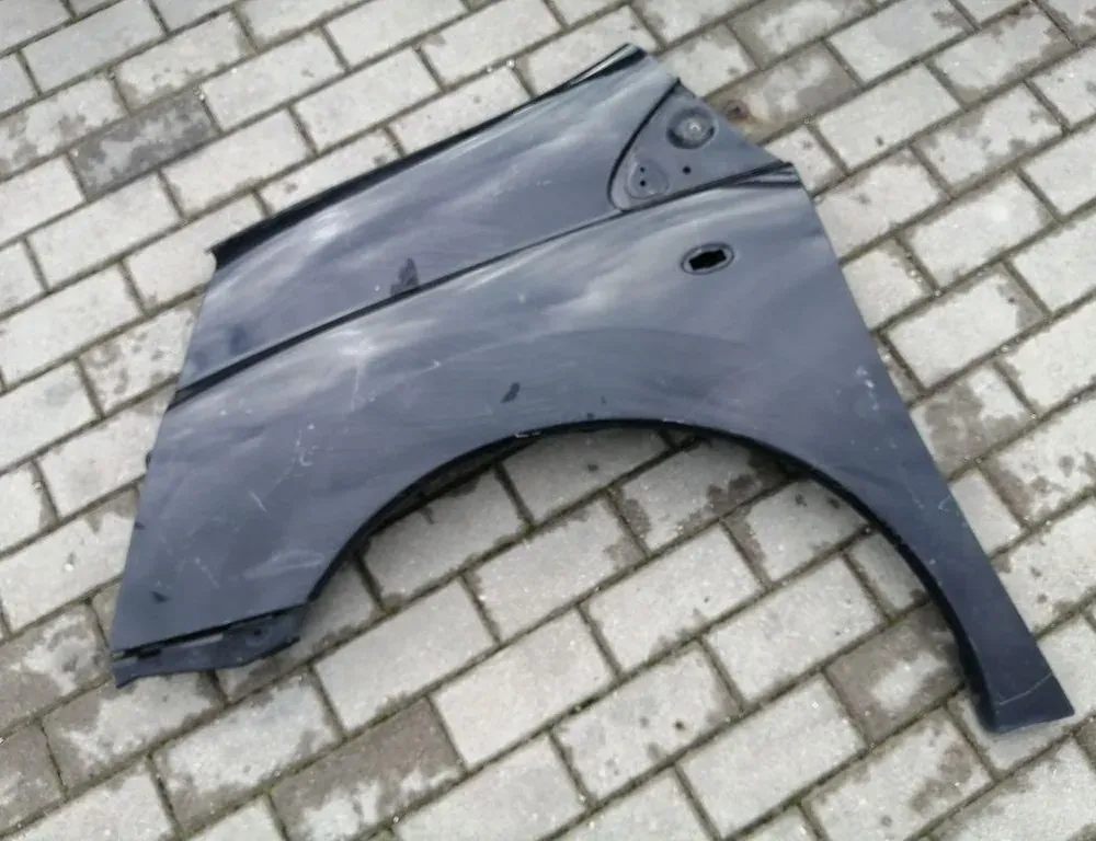 PEUGEOT Expert 2 generation (2007-2020) Ľavý predný blatník 33865363