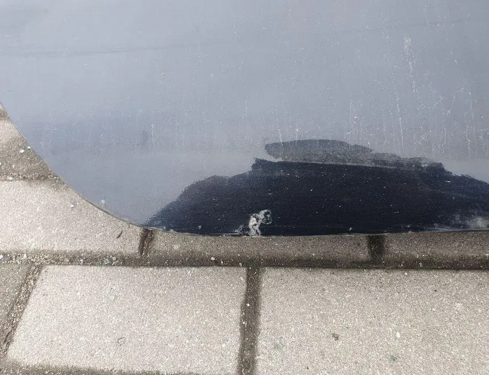 NISSAN Leaf 1 generation (2010-2017) Pravé zadné dvere 33882561