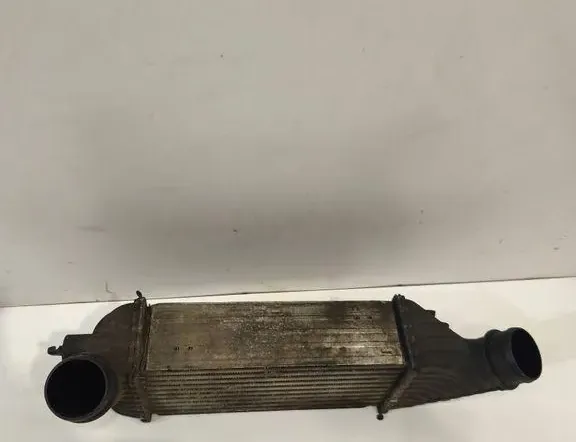 CITROËN Jumpy 2 generation (2007-2016) Радиатор интеркулера 99000038 33263785