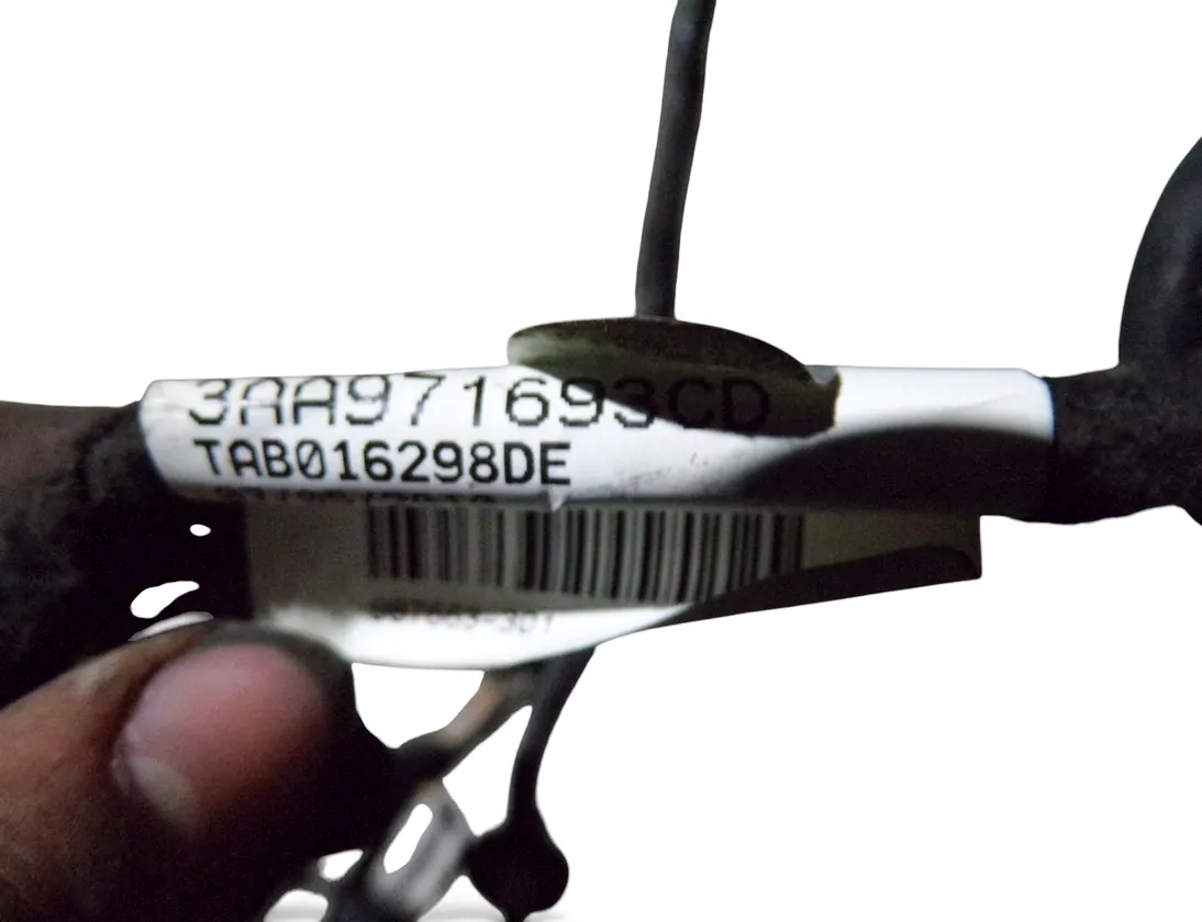 VOLKSWAGEN Passat B7 (2010-2015) Rear Left Door Wiring 3AA971693CD 33492952