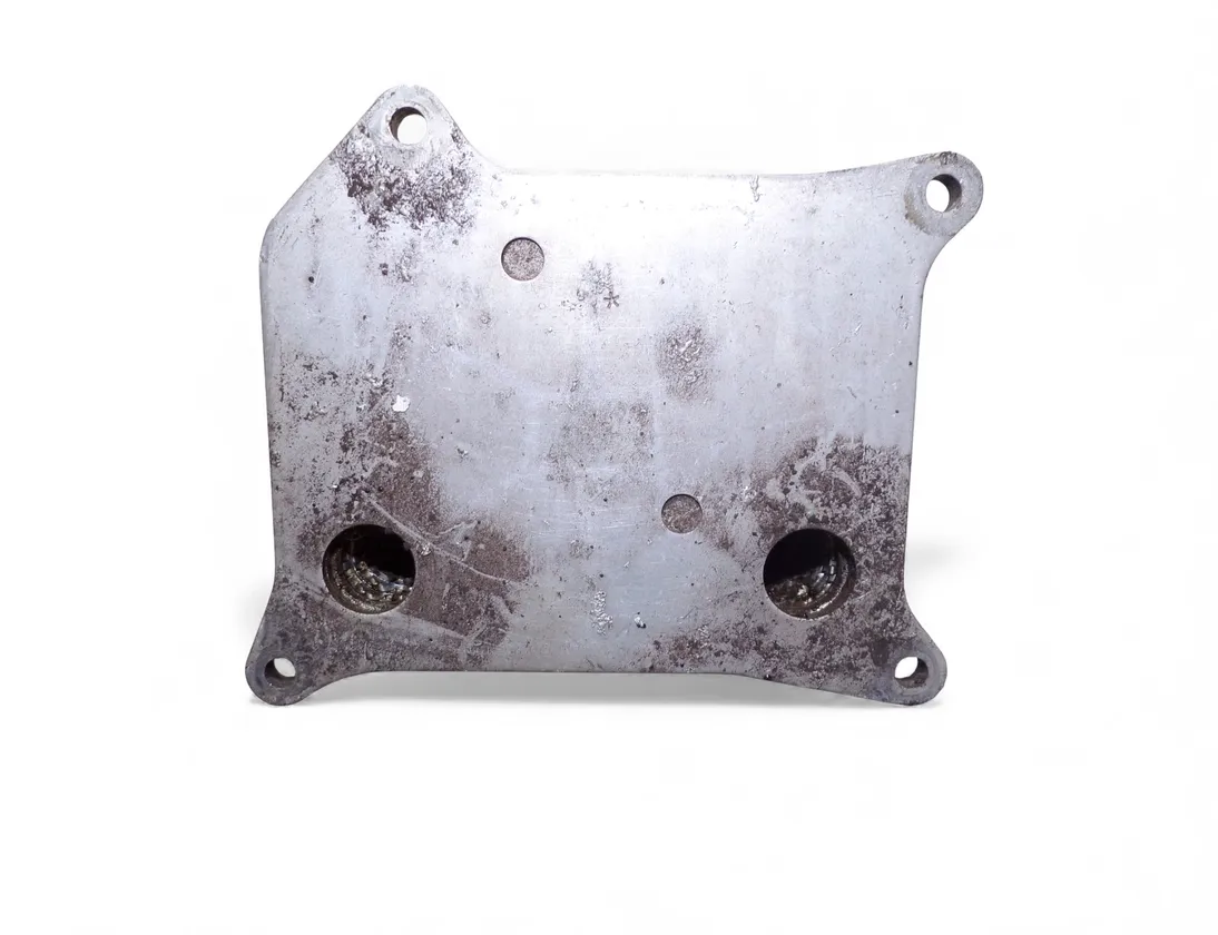 AUDI A6 C6/4F (2004-2011) Масляный радиатор 079117021M 33493858