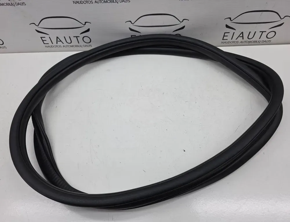 DODGE Durango 3 generation (2010-2024) Pravé predné dvere tesnenie guma 33949278