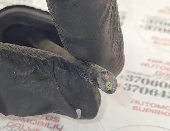 VOLKSWAGEN Touran 1 generation (2003-2015) Датчик АБС передний правый 1J0906102 33905059