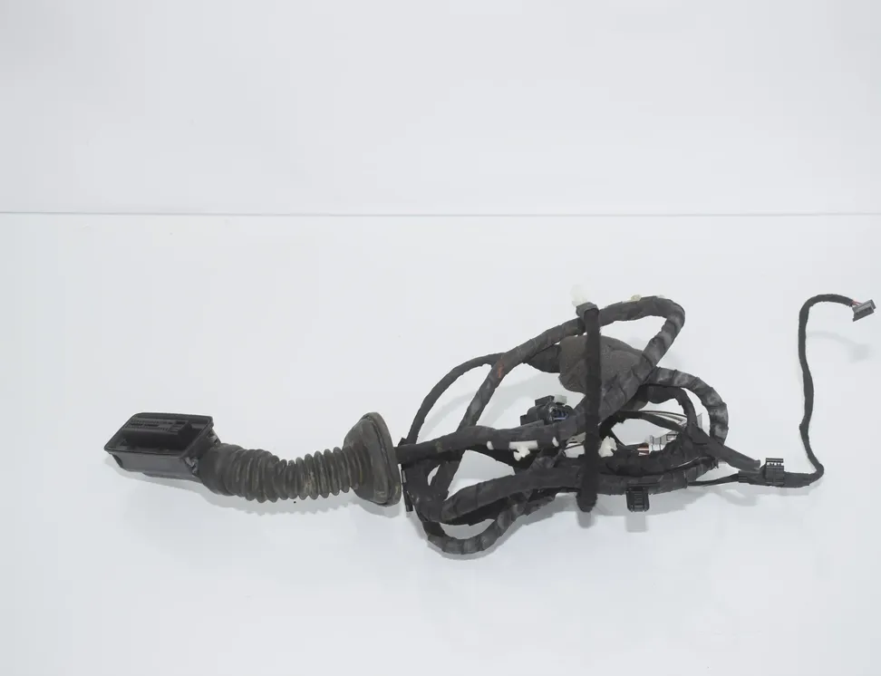 BMW 5 Series G30/G31 (2016-2023) Zadné pravé dvere kabeláž 5A085E8,61125A085E8 34142115