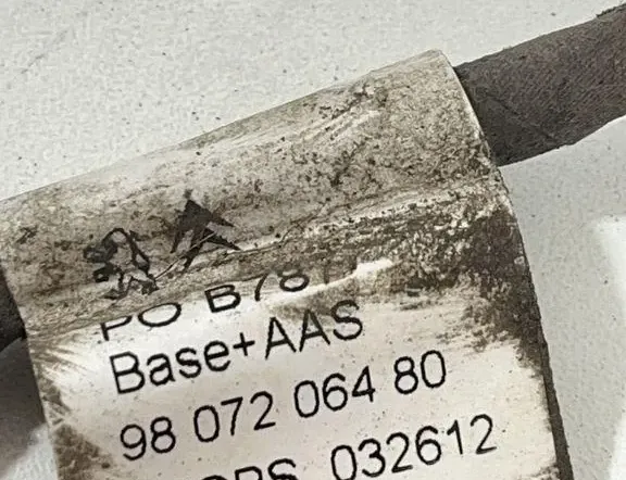 CITROËN C4 Picasso 2 generation (2013-2018) Жгут проводов задних парктроников 9807206480 33470399