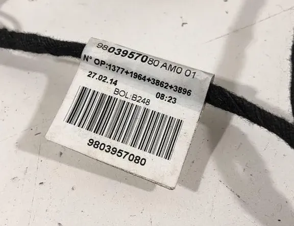 PEUGEOT 2008 1 generation (2013-2020) Zadné pravé dvere kabeláž 9803957080 33473434