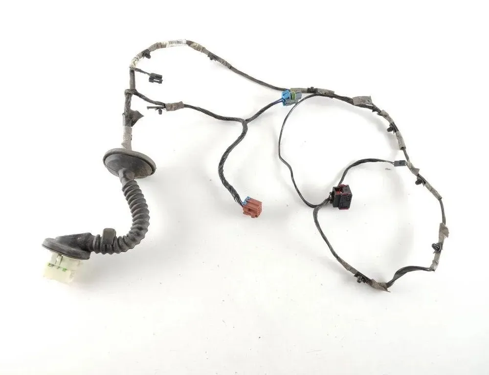 HUMMER H2 1 generation (2002-2009) Rear Left Door Wiring Z16674056 31923101