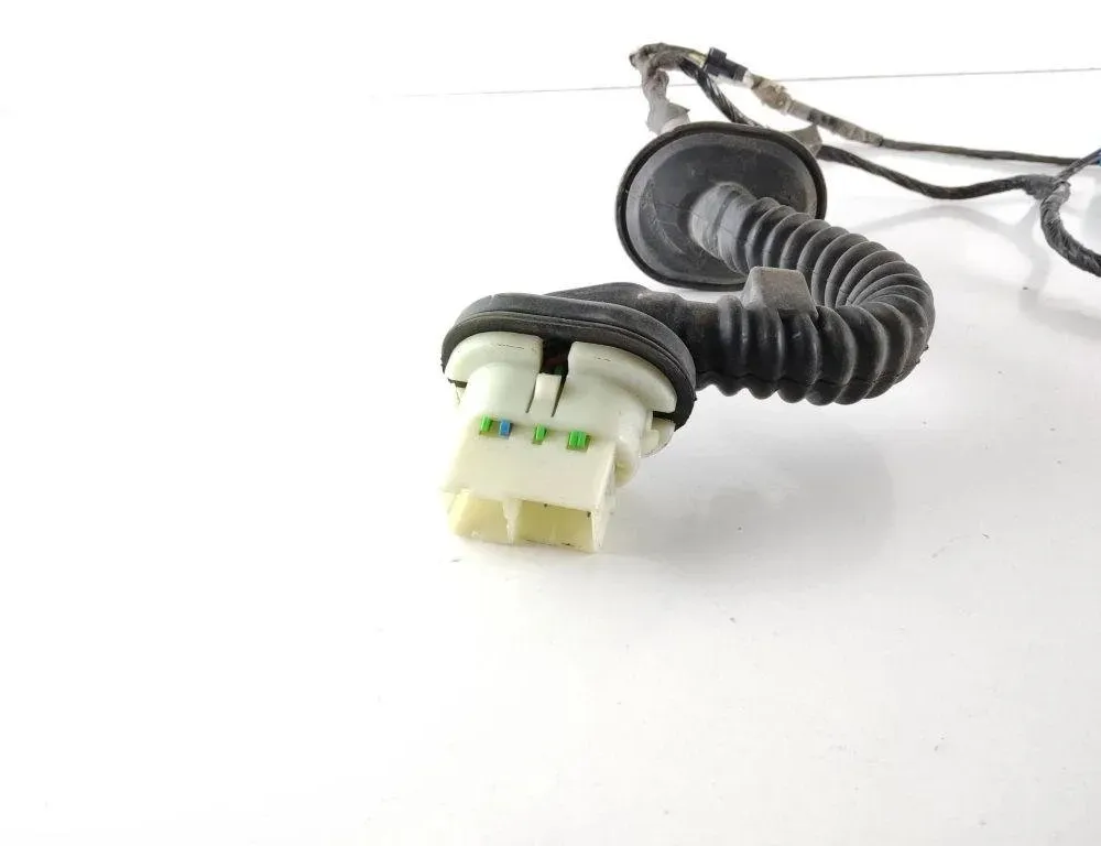 HUMMER H2 1 generation (2002-2009) Rear Left Door Wiring Z16674056 31923101