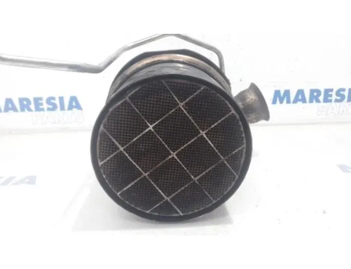 PEUGEOT 3008 1 generation (2010-2016) Catalyst PSAF0261,1609532780,3141157300,16095327800,PSAF026 26976341