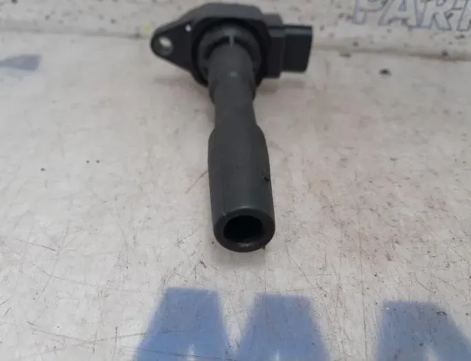 RENAULT Megane 3 generation (2008-2020) Vysokonapäťová zapalovacia cievka 065A63713,106120913,8550503138,09118,224332428R 26993750