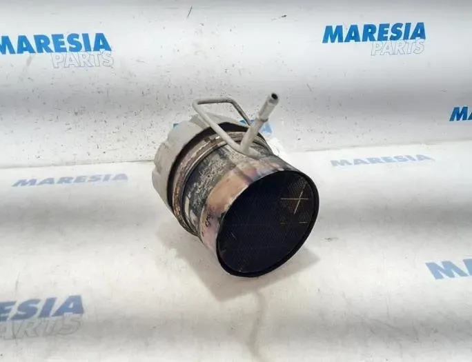 CITROËN C4 Picasso 2 generation (2013-2018) Katalyzátor PSAF026 26993890