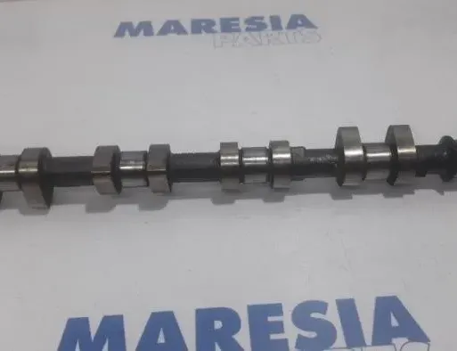 PEUGEOT 307 1 generation (2001-2008) Sania vačkového hriadeľa 0801AY0,0801AY 27827811