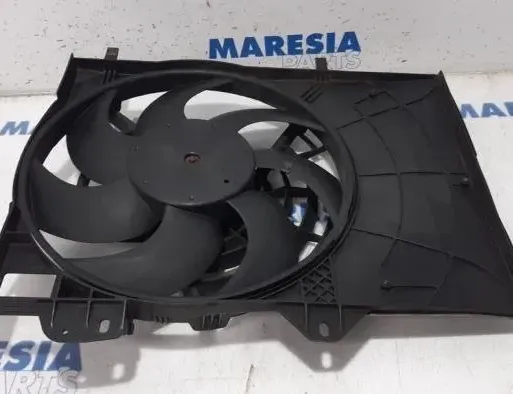 PEUGEOT 207 1 generation (2006-2009) Iné riadiace jednotky 9801666680,1253H5,9680102880,5020480 27888031