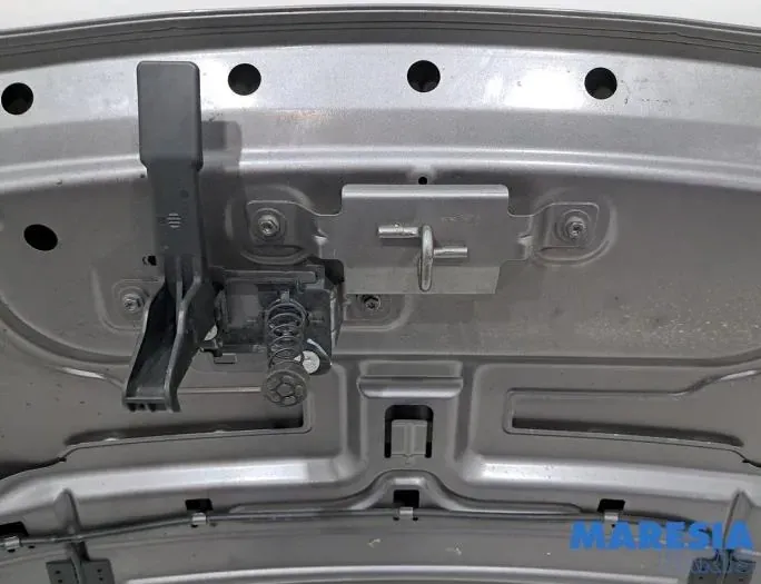 RENAULT Scenic 3 generation (2009-2015) Капот 651008842R,651008842 33726861