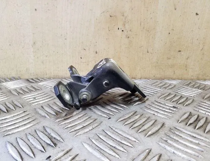 RENAULT Scenic 3 generation (2009-2015) Задний левый дверной шарнир 804010016RB 26169117