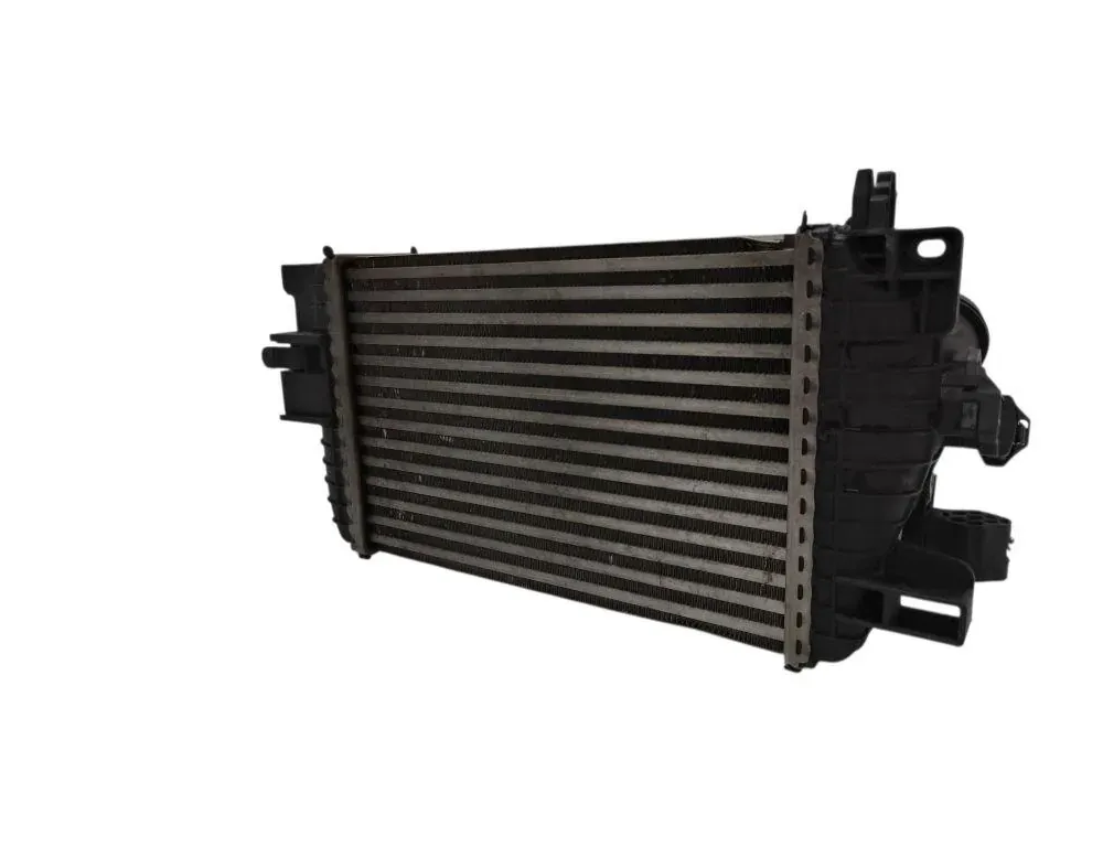 OPEL Meriva 2 generation (2010-2020) Intercooler Radiator R3445005 34207982