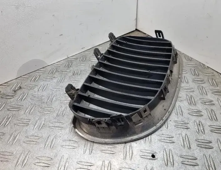 BMW 5 Series E60/E61 (2003-2010) Решетка радиатора переднего бампера 51137027061,7065701,7027061 24184210