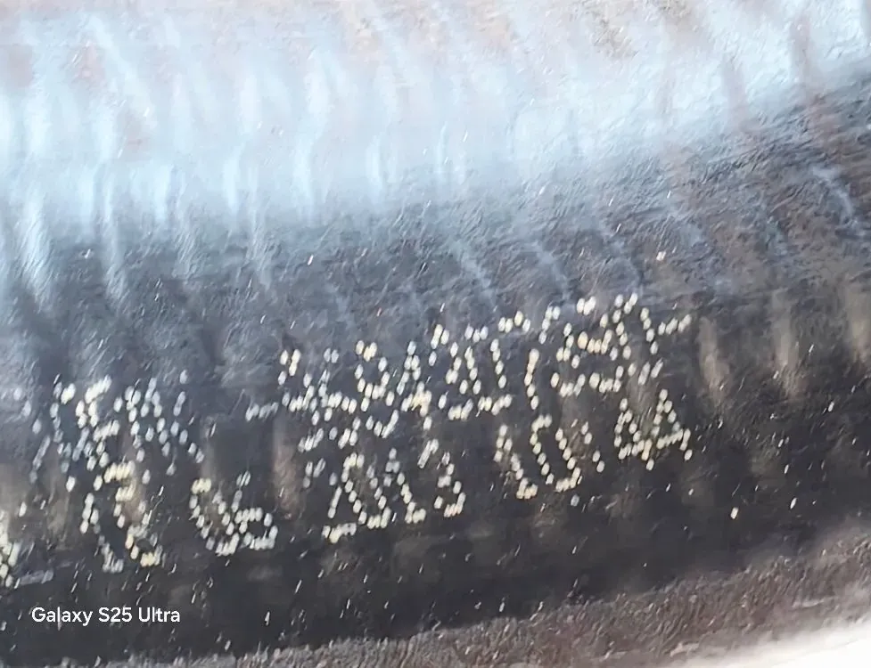 PEUGEOT 3008 1 generation (2010-2016) Intercooler hadica 9678406580,9684307380,9685598580 33582580