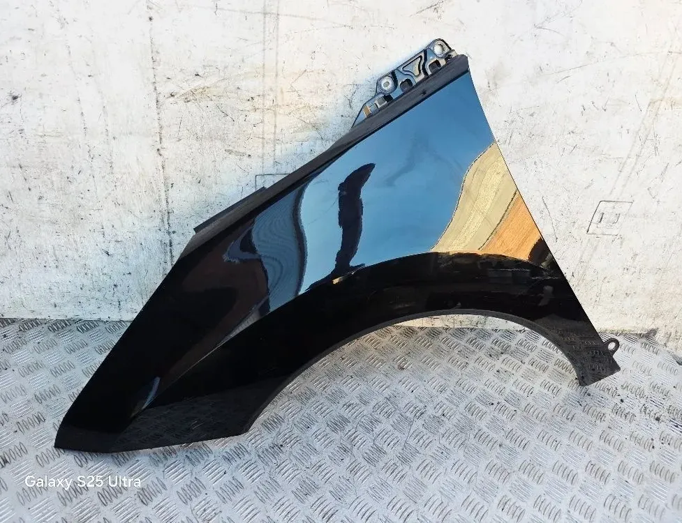 PEUGEOT 3008 1 generation (2010-2016) Ľavý predný blatník 33582586