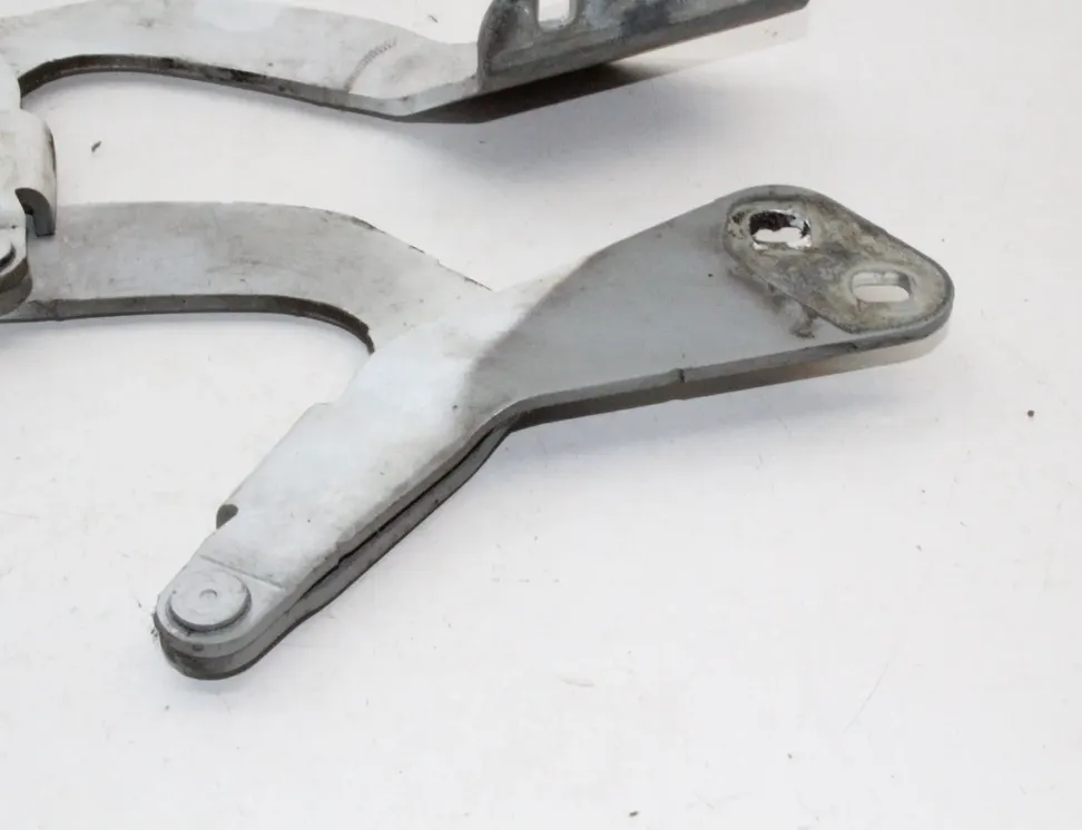 FORD Kuga 1 generation (2008-2013) Комплект петель капота 8V41-16801-AD,8V41-16800-AD 22638511