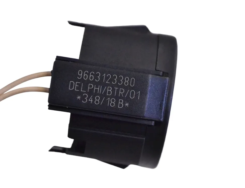 PEUGEOT 2008 2 generation (2019-2023) Электронное противоугонное устройство 9663123380 15069158