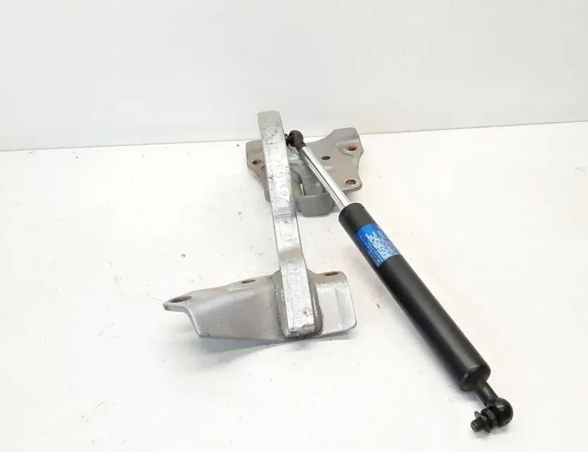 HONDA Accord 7 generation (2002-2008) Петля крышки багажника правая 33624530