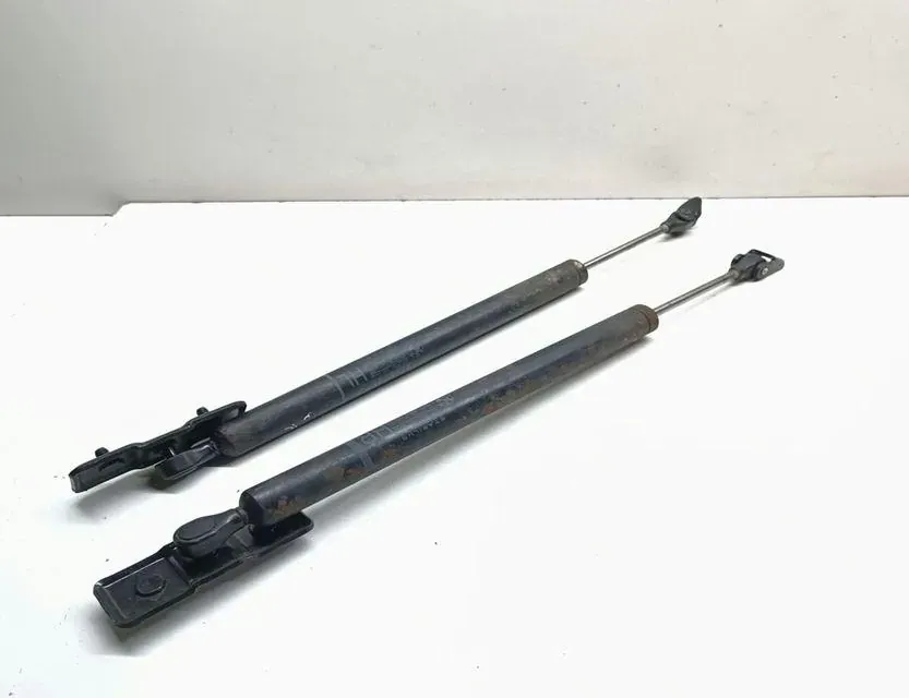 BMW 7 Series F01/F02 (2008-2015) Ľavý plynový tlmič na zadné vráta 7177648 33663236