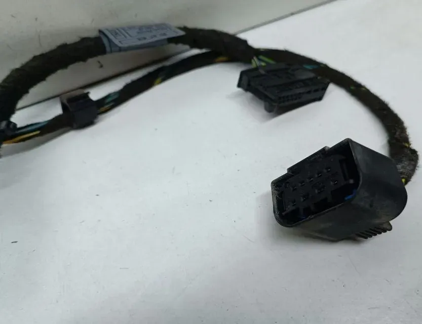 BMW 7 Series E65/E66 (2001-2008) Zadné ľavé dvere kabeláž 6913152 33684243