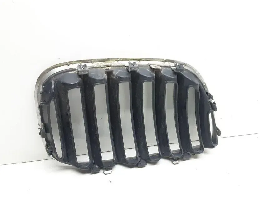 BMW X5 E53 (1999-2006) Решетка радиатора переднего бампера 7124815 33701468