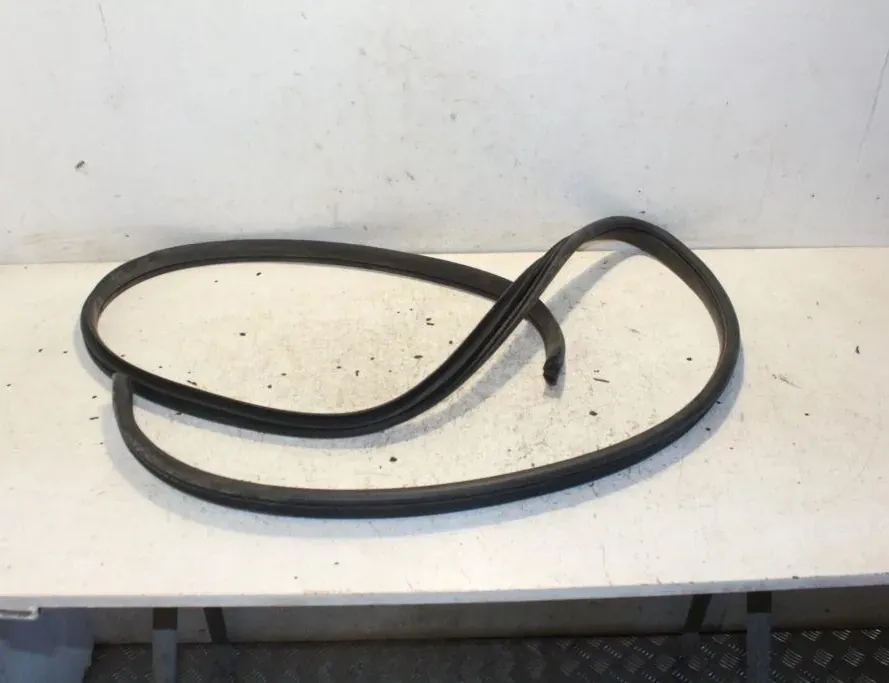 KIA Optima 3 generation (2010-2015) Front Left Door Seal Rubber 33296140