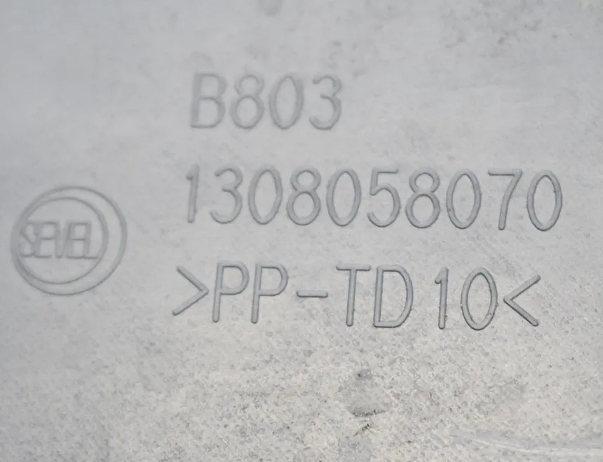 PEUGEOT Boxer 3 generation (2006-2024) Rear Left Door Lower Molding 1308058070 10034862