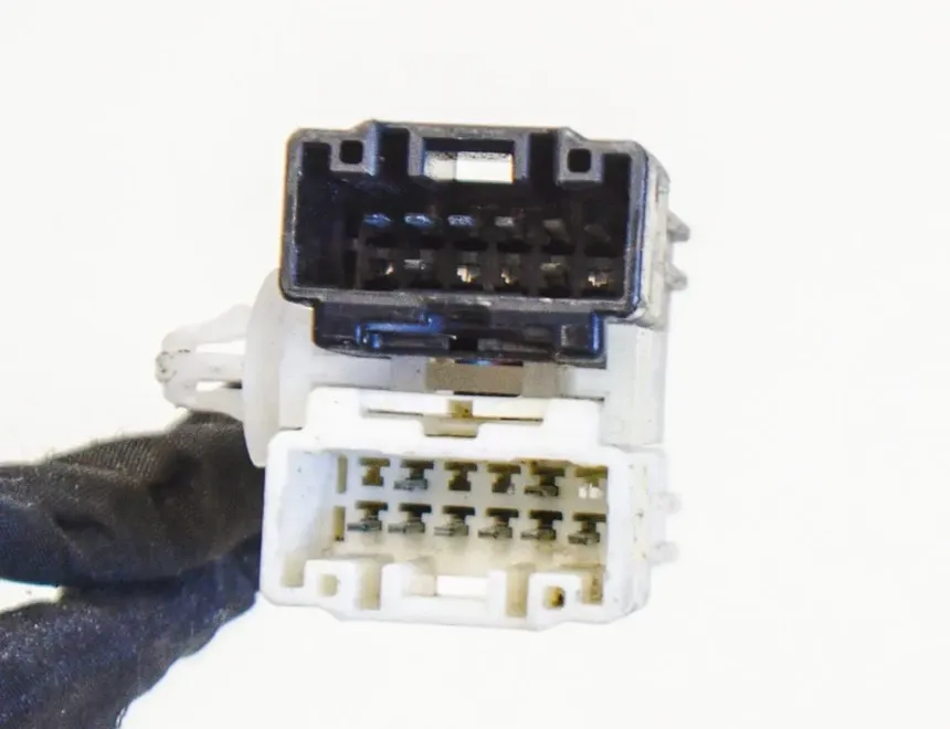 TESLA Model X 1 generation (2015-2024) Rear Right Door Wiring 1063406-00-F 11194911