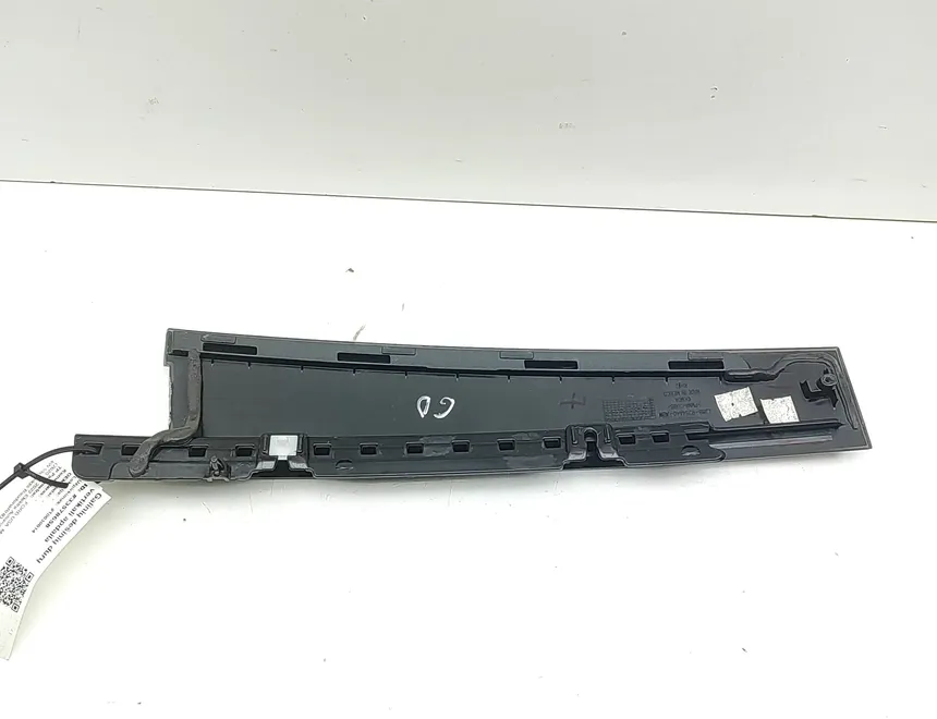 FORD USA Mustang Mach-E 1 generation (2020-2024) Pravé zadné dvere vertikálne lemy LJ8B-R254A40-ABW 33578658