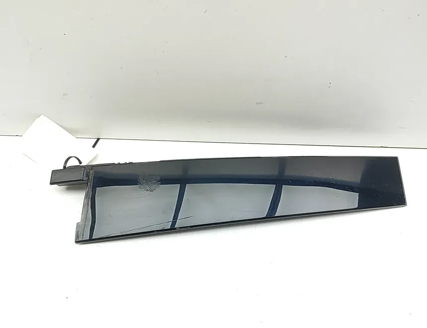 FORD USA Mustang Mach-E 1 generation (2020-2024) Pravé zadné dvere vertikálne lemy LJ8B-R254A40-ABW 33578658