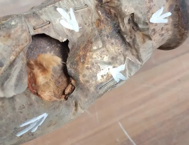 RENAULT Master 3 generation (2010-2023) Катализатор 29682896