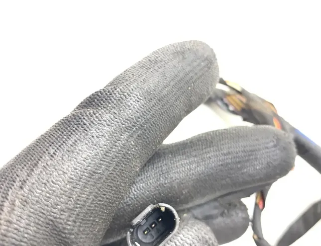 BMW X5 E70 (2006-2013) Rear Right Door Wiring 7184662,9243553,6971823,6925548 23046501