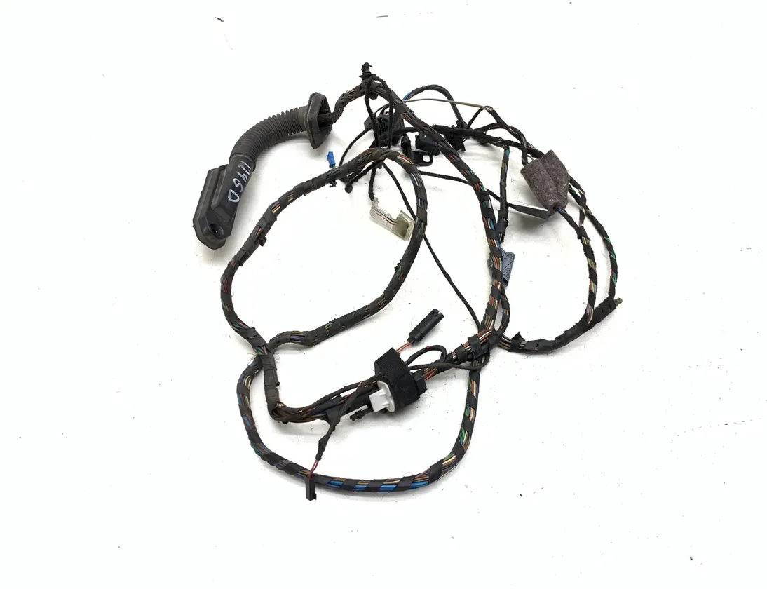 BMW X5 E70 (2006-2013) Rear Right Door Wiring 1452466,6925548 24593009